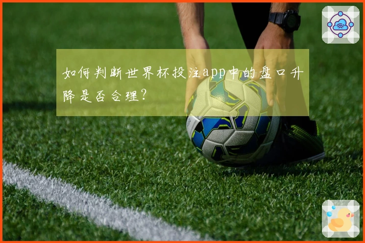 如何判断世界杯投注app中的盘口升降是否合理？