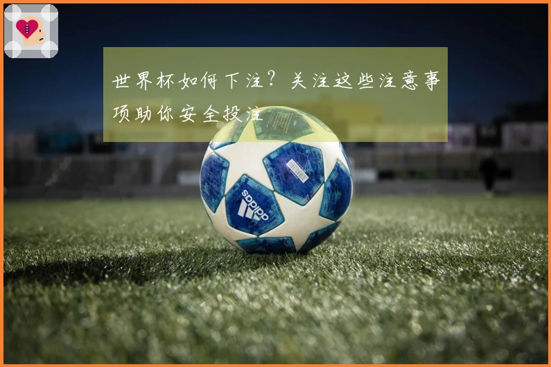 世界杯如何下注?关注这些注意事项助你安全投注