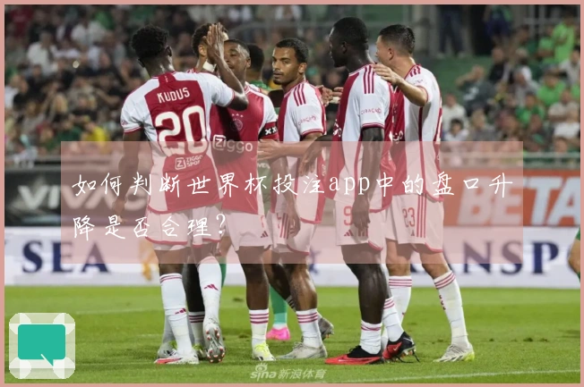 如何判断世界杯投注app中的盘口升降是否合理?